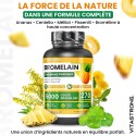 BROMÉLAÏNE