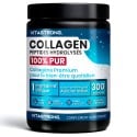 COLLAGEN HYDROLYSÉS