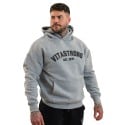 COLLEGE HOODIE DARK GREY