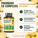 BROMÉLAÏNE 90 cp
