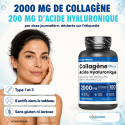 COLLAGÈNE