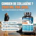 COLLAGÈNE MARIN