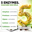 DIGESTION ENZYMES